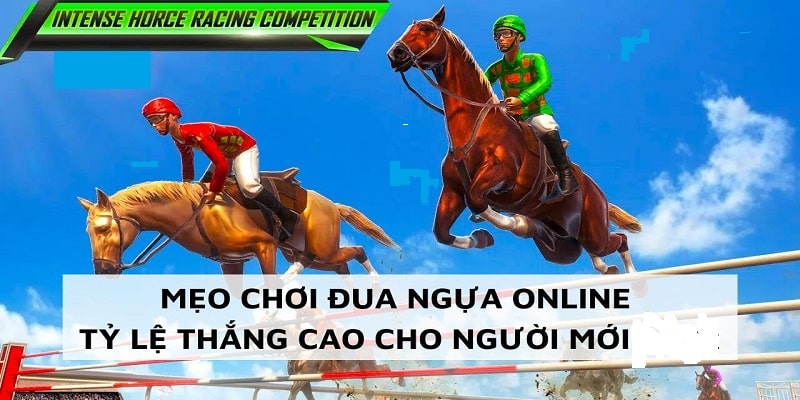 Mẹo chơi đua ngựa 3D thắng lớn cho cược thủ